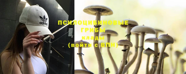 тгк Бронницы