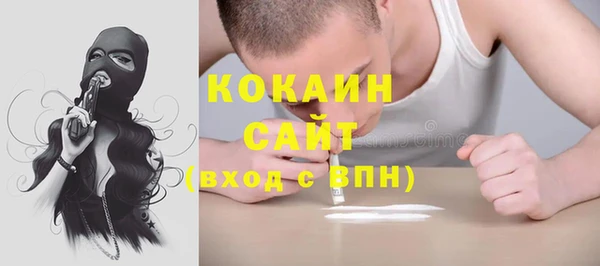 тгк Бронницы
