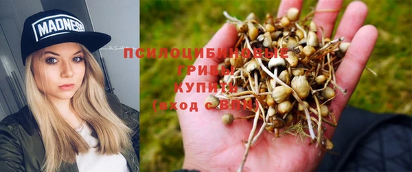 кристаллы Бородино
