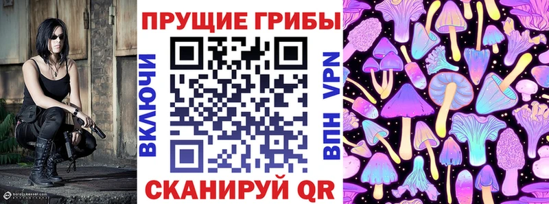 блэк спрут как зайти Кашин Псилоцибиновые грибы MAGIC MUSHROOMS дарнет шоп